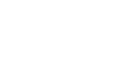 BrigSys